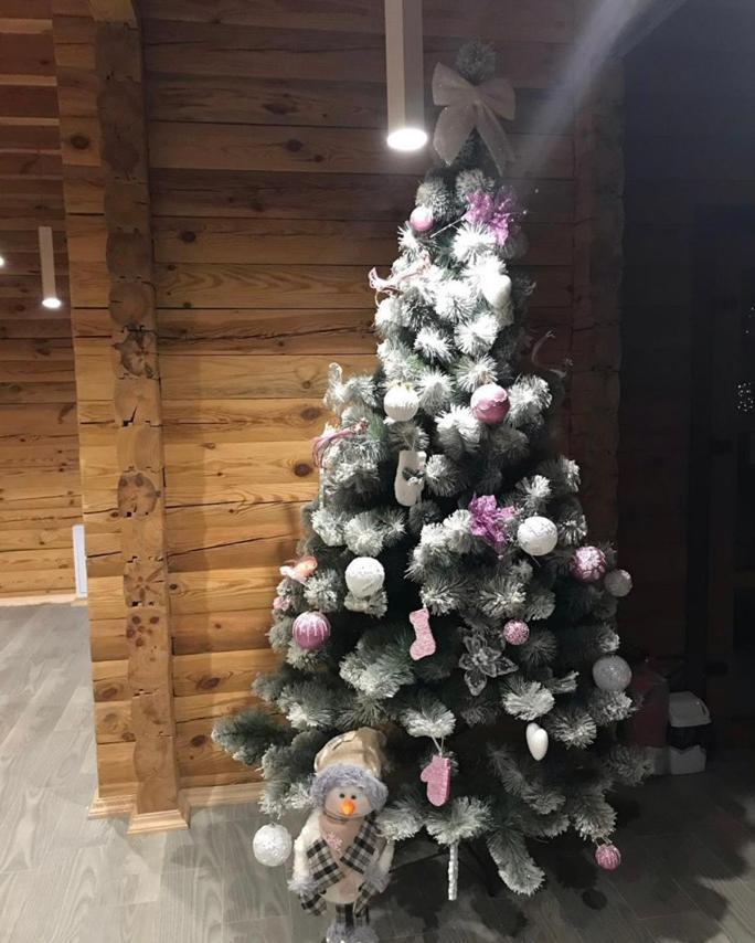 Golden Nest Apartment Яблуниця Екстериор снимка