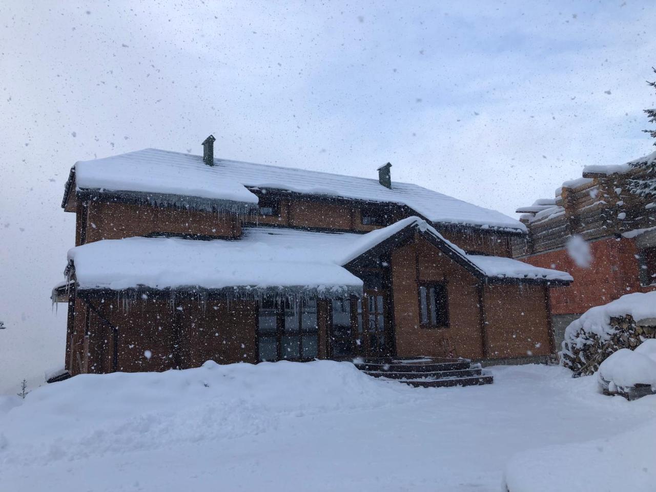 Golden Nest Apartment Яблуниця Екстериор снимка