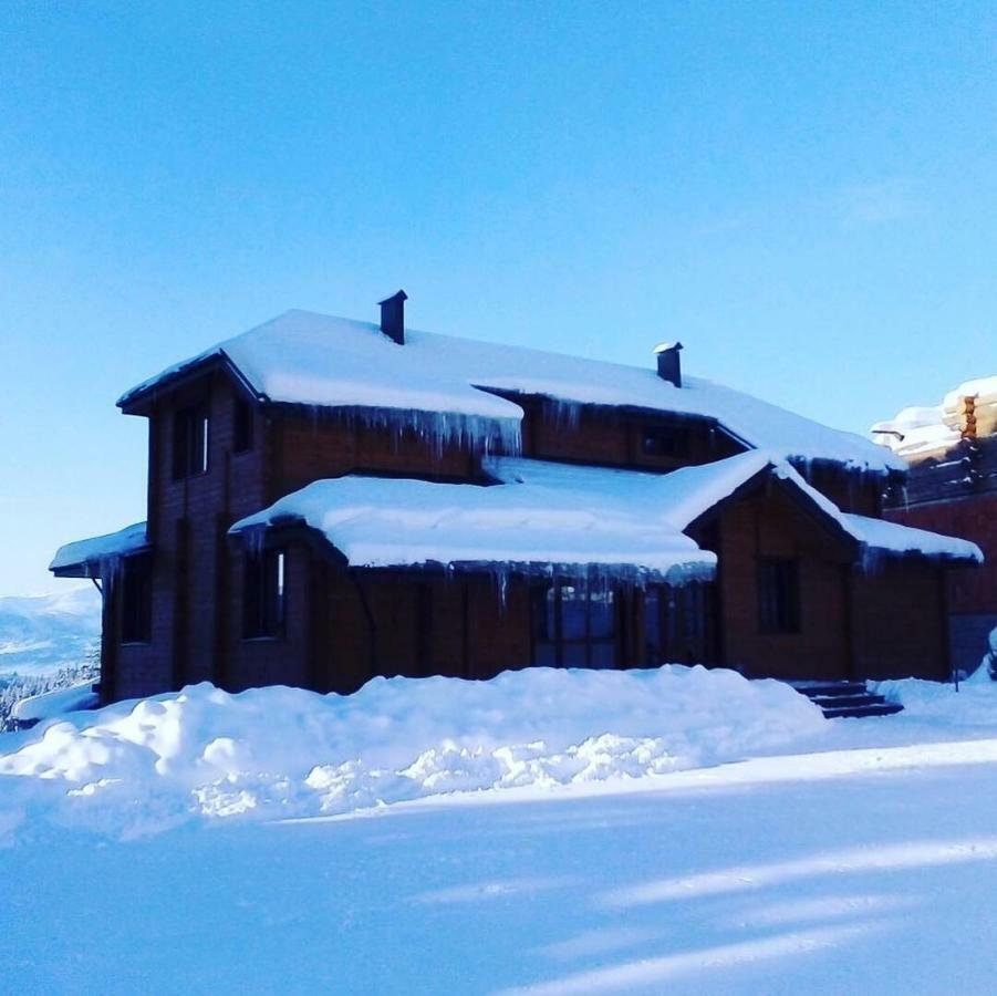 Golden Nest Apartment Яблуниця Екстериор снимка